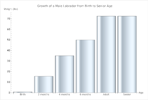 Chart representing the growth of a Male Labrador